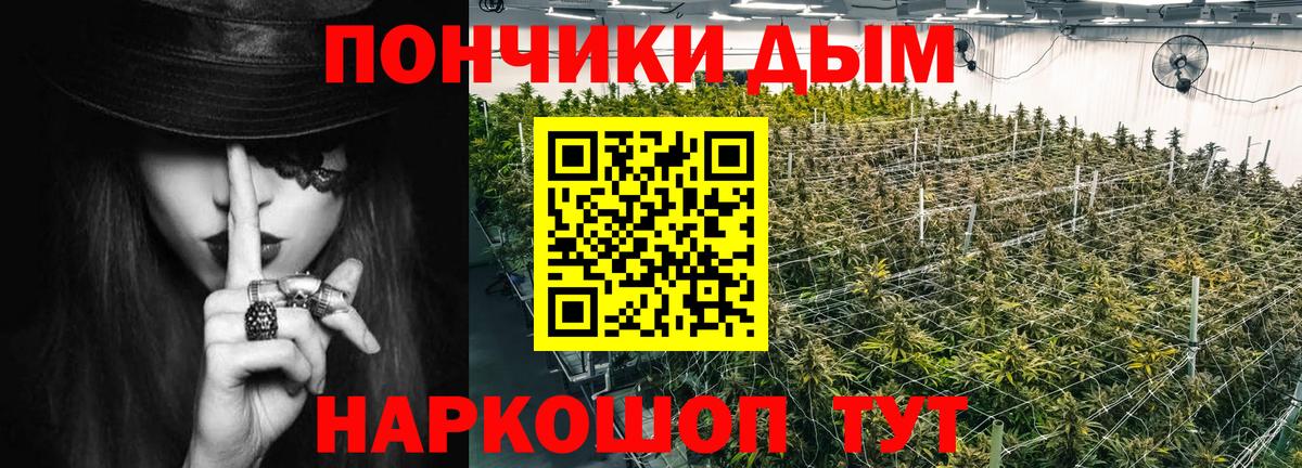 Канабис гибрид  Бошки марихуана конопля  Каннабис Bruce Banner  Бошки Шишки конопля  Йошкар-Ола  Вход с VPN 